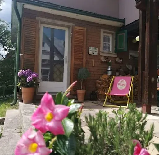 Idyllische Kleine Im Schwarzwald *